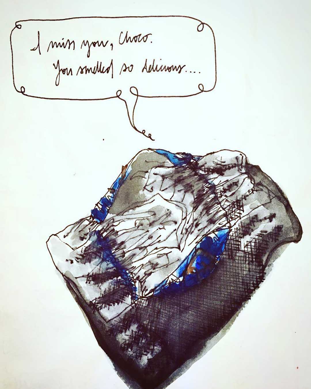 A pen and ink sketch of an empty and depressed chocolate wrapper, lamenting (via curlicued speech bubble), “I miss you choco. You smelled so delicious.”