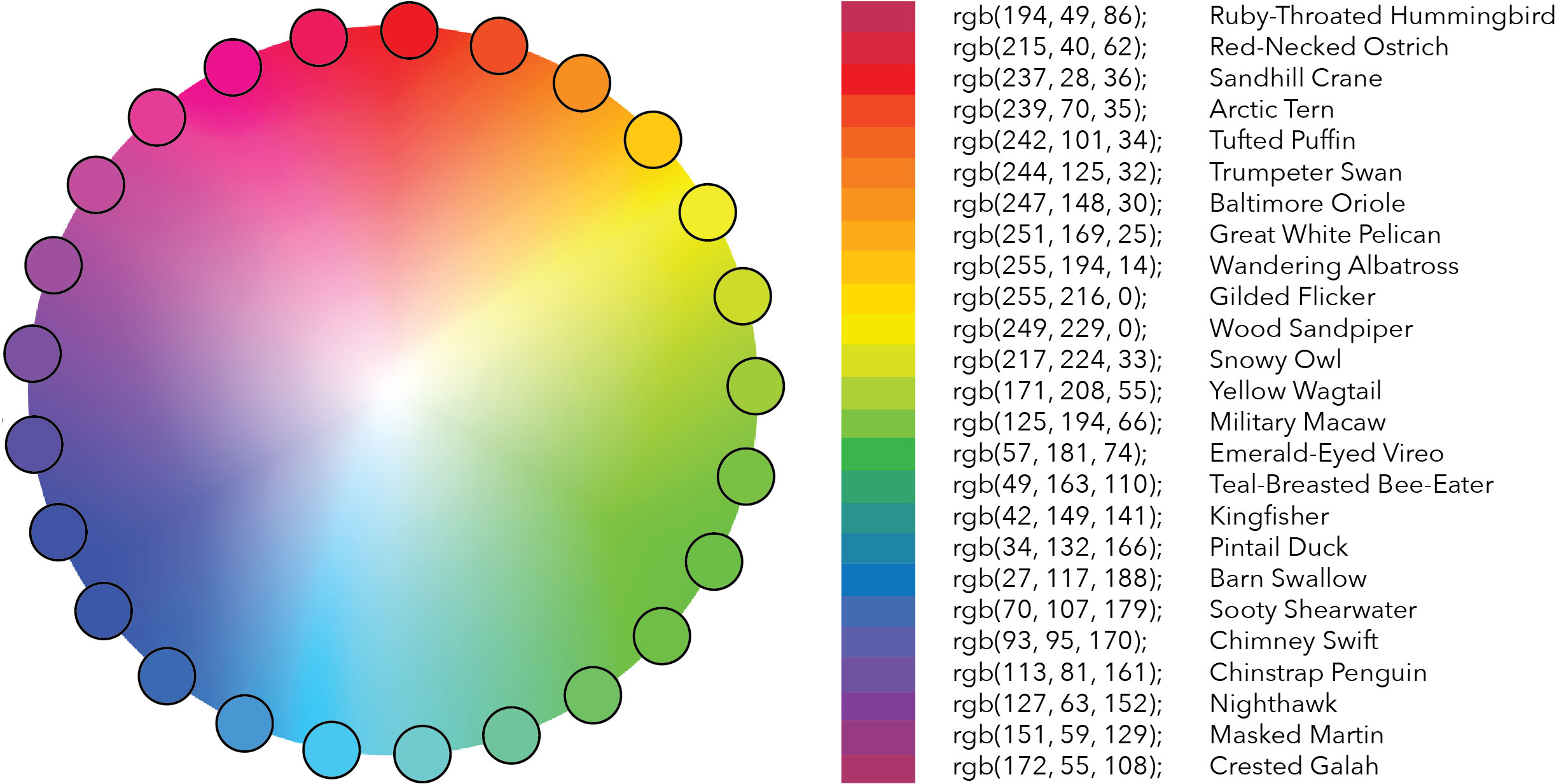On the left: a graded color wheel surrounded by 25 evenly spaced markers. On the right: the final color selections and the birds they were assigned to represent.