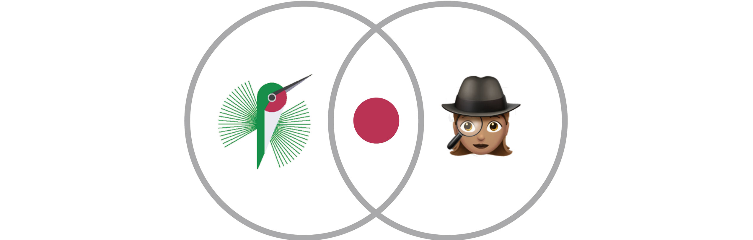 Venn diagram conveying the idea that data points in my visualization exist solely at the intersection of a bird and a bird spotter.