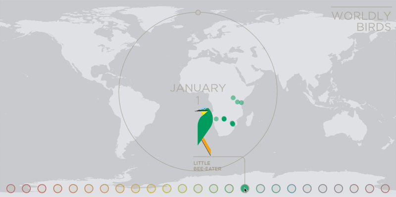 The little bee-eater’s path ranges from Europe and the Middle East in July to the southern half of Africa in January.